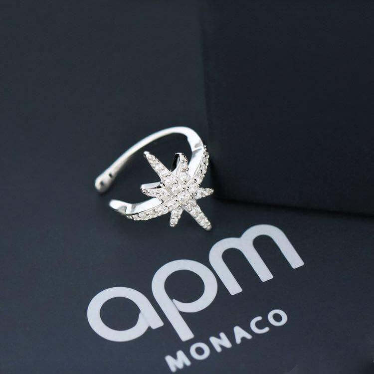 APM Monaco加盟流程